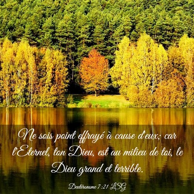 Picture 03 - Deutéronome 7:21 LSG - Ne sois point effrayé à cause d'eux; car - Bible Verse Picture