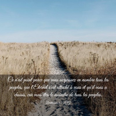 Picture 03 - Deutéronome 7:7 LSG - Ce n'est point parce que vous surpassez en nombre - Bible Verse Picture