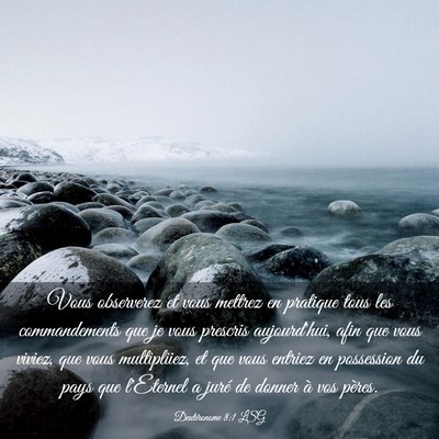 Picture 03 - Deutéronome 8:1 LSG - Vous observerez et vous mettrez en pratique tous - Bible Verse Picture