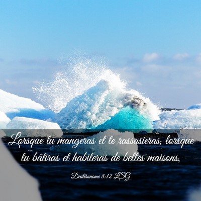 Picture 03 - Deutéronome 8:12 LSG - Lorsque tu mangeras et te rassasieras, lorsque tu - Bible Verse Picture