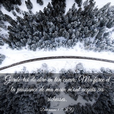 Picture 03 - Deutéronome 8:17 LSG - Garde-toi de dire en ton coeur: Ma force et la - Bible Verse Picture