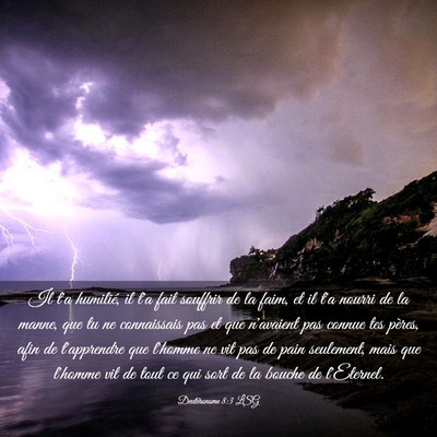 Picture 03 - Deutéronome 8:3 LSG - Il t'a humilié, il t'a fait souffrir de la faim, - Bible Verse Picture