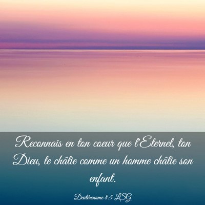 Picture 03 - Deutéronome 8:5 LSG - Reconnais en ton coeur que l'Eternel, ton Dieu, - Bible Verse Picture