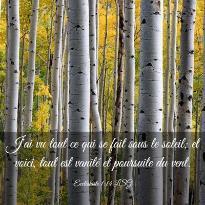 Picture 03 - Ecclésiaste 1:14 LSG - J'ai vu tout ce qui se fait sous le soleil; et - Bible Verse Picture