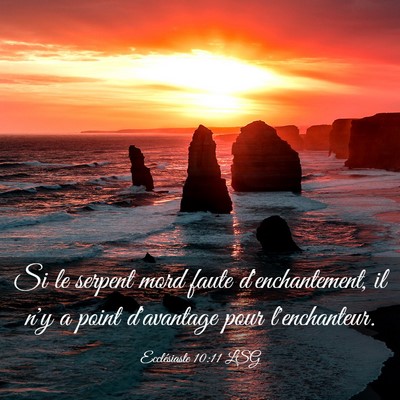 Picture 03 - Ecclésiaste 10:11 LSG - Si le serpent mord faute d'enchantement, il n'y a - Bible Verse Picture