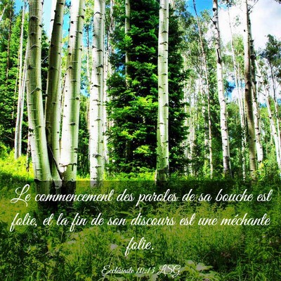 Picture 03 - Ecclésiaste 10:13 LSG - Le commencement des paroles de sa bouche est - Bible Verse Picture