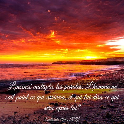 Picture 03 - Ecclésiaste 10:14 LSG - L'insensé multiplie les paroles. L'homme ne sait - Bible Verse Picture