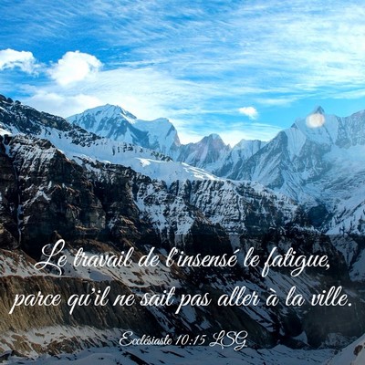 Picture 03 - Ecclésiaste 10:15 LSG - Le travail de l'insensé le fatigue, parce qu'il - Bible Verse Picture