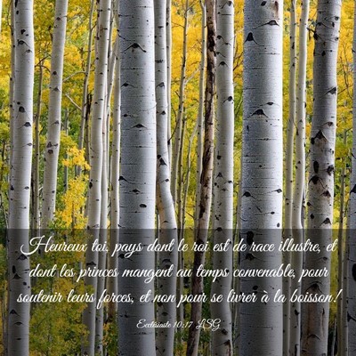 Picture 03 - Ecclésiaste 10:17 LSG - Heureux toi, pays dont le roi est de race - Bible Verse Picture