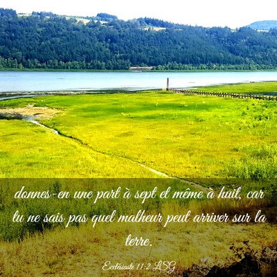 Picture 03 - Ecclésiaste 11:2 LSG - donnes-en une part à sept et même à huit, car - Bible Verse Picture