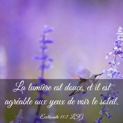 Picture 03 - Ecclésiaste 11:7 LSG - La lumière est douce, et il est agréable aux - Bible Verse Picture