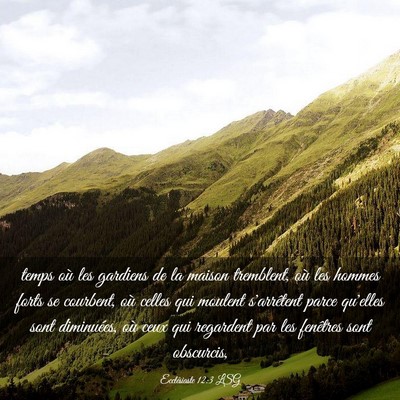 Picture 03 - Ecclésiaste 12:3 LSG - temps où les gardiens de la maison tremblent, - Bible Verse Picture