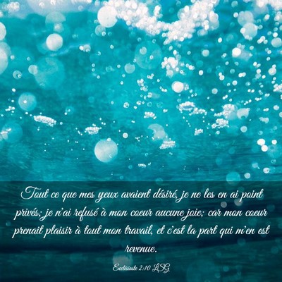 Picture 03 - Ecclésiaste 2:10 LSG - Tout ce que mes yeux avaient désiré, je ne les - Bible Verse Picture