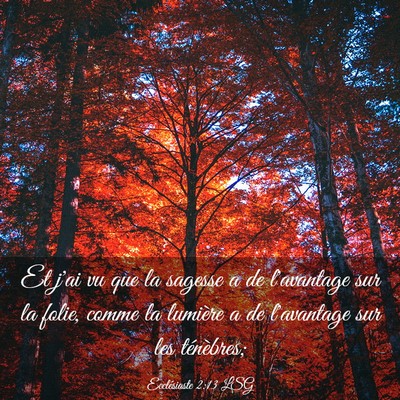 Picture 03 - Ecclésiaste 2:13 LSG - Et j'ai vu que la sagesse a de l'avantage sur la - Bible Verse Picture