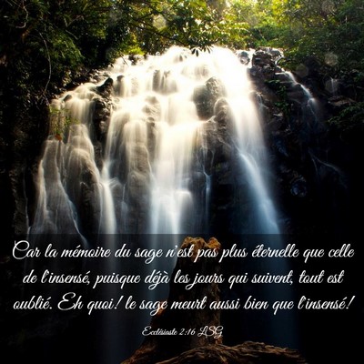 Picture 03 - Ecclésiaste 2:16 LSG - Car la mémoire du sage n'est pas plus éternelle - Bible Verse Picture