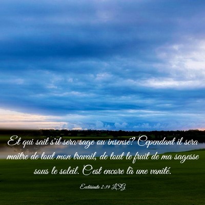 Picture 03 - Ecclésiaste 2:19 LSG - Et qui sait s'il sera sage ou insensé? Cependant - Bible Verse Picture