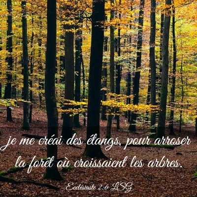 Picture 03 - Ecclésiaste 2:6 LSG - je me créai des étangs, pour arroser la forêt - Bible Verse Picture