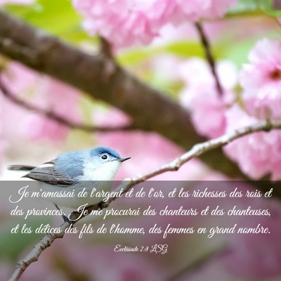 Picture 03 - Ecclésiaste 2:8 LSG - Je m'amassai de l'argent et de l'or, et les - Bible Verse Picture
