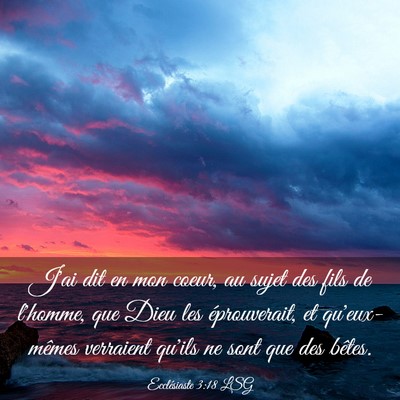 Picture 03 - Ecclésiaste 3:18 LSG - J'ai dit en mon coeur, au sujet des fils de - Bible Verse Picture