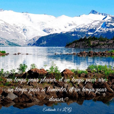 Picture 03 - Ecclésiaste 3:4 LSG - un temps pour pleurer, et un temps pour rire; un - Bible Verse Picture
