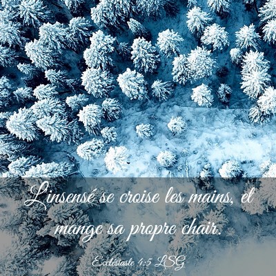 Picture 03 - Ecclésiaste 4:5 LSG - L'insensé se croise les mains, et mange sa - Bible Verse Picture