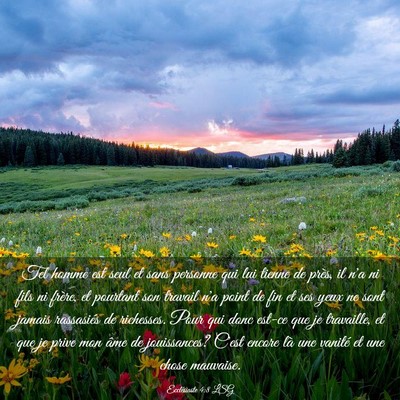 Picture 03 - Ecclésiaste 4:8 LSG - Tel homme est seul et sans personne qui lui - Bible Verse Picture