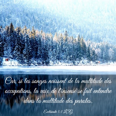 Picture 03 - Ecclésiaste 5:3 LSG - Car, si les songes naissent de la multitude des - Bible Verse Picture