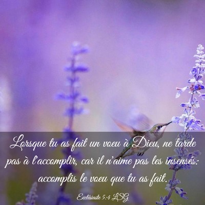 Picture 03 - Ecclésiaste 5:4 LSG - Lorsque tu as fait un voeu à Dieu, ne tarde pas - Bible Verse Picture