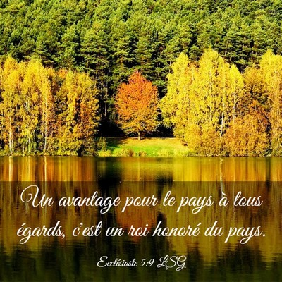 Picture 03 - Ecclésiaste 5:9 LSG - Un avantage pour le pays à tous égards, c'est - Bible Verse Picture