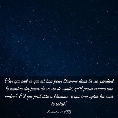 Picture 03 - Ecclésiaste 6:12 LSG - Car qui sait ce qui est bon pour l'homme dans la - Bible Verse Picture