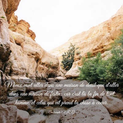 Picture 03 - Ecclésiaste 7:2 LSG - Mieux vaut aller dans une maison de deuil que - Bible Verse Picture