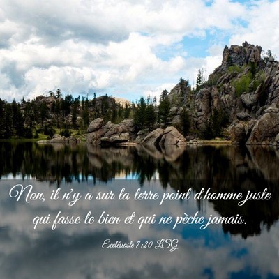 Picture 03 - Ecclésiaste 7:20 LSG - Non, il n'y a sur la terre point d'homme juste - Bible Verse Picture