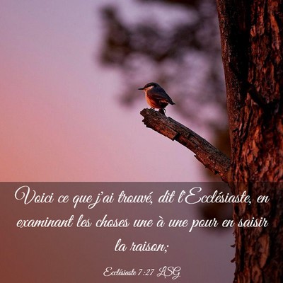Picture 03 - Ecclésiaste 7:27 LSG - Voici ce que j'ai trouvé, dit l'Ecclésiaste, en - Bible Verse Picture