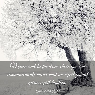 Picture 03 - Ecclésiaste 7:8 LSG - Mieux vaut la fin d'une chose que son - Bible Verse Picture