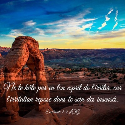 Picture 03 - Ecclésiaste 7:9 LSG - Ne te hâte pas en ton esprit de t'irriter, car - Bible Verse Picture