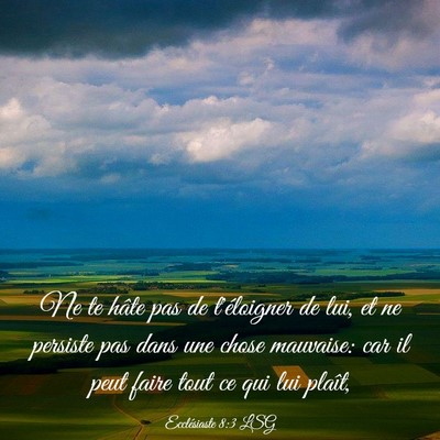 Picture 03 - Ecclésiaste 8:3 LSG - Ne te hâte pas de t'éloigner de lui, et ne - Bible Verse Picture