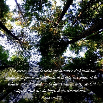 Picture 03 - Ecclésiaste 9:11 LSG - J'ai encore vu sous le soleil que la course n'est - Bible Verse Picture