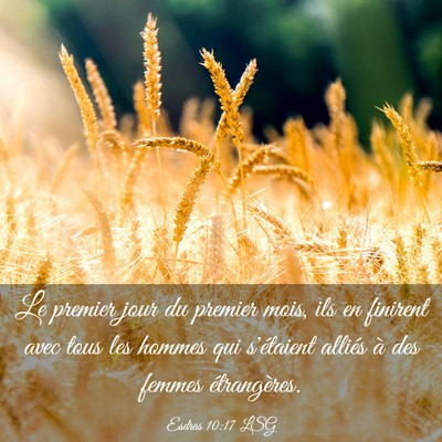 Picture 03 - Esdras 10:17 LSG - Le premier jour du premier mois, ils en finirent - Bible Verse Picture