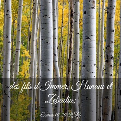 Picture 03 - Esdras 10:20 LSG - des fils d'Immer, Hanani et - Bible Verse Picture