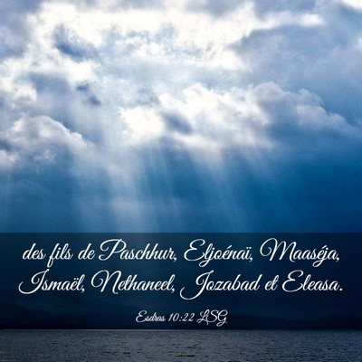 Picture 03 - Esdras 10:22 LSG - des fils de Paschhur, Eljoénaï, Maaséja, - Bible Verse Picture