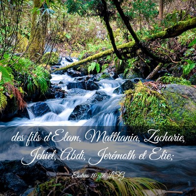 Picture 03 - Esdras 10:26 LSG - des fils d'Elam, Matthania, Zacharie, Jehiel, - Bible Verse Picture