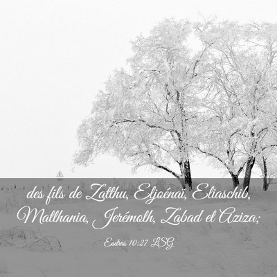 Picture 03 - Esdras 10:27 LSG - des fils de Zatthu, Eljoénaï, Eliaschib, - Bible Verse Picture