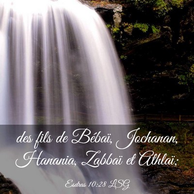 Picture 03 - Esdras 10:28 LSG - des fils de Bébaï, Jochanan, Hanania, Zabbaï - Bible Verse Picture