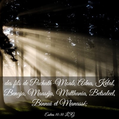 Picture 03 - Esdras 10:30 LSG - des fils de Pachath-Moab, Adna, Kelal, Benaja, - Bible Verse Picture