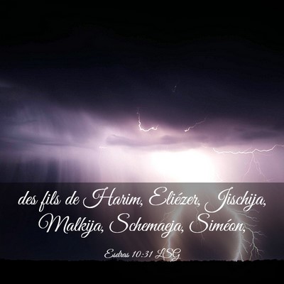 Picture 03 - Esdras 10:31 LSG - des fils de Harim, Eliézer, Jischija, Malkija, - Bible Verse Picture