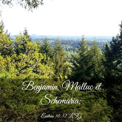 Picture 03 - Esdras 10:32 LSG - Benjamin, Malluc et - Bible Verse Picture