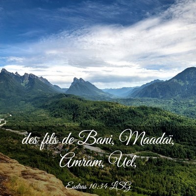 Picture 03 - Esdras 10:34 LSG - des fils de Bani, Maadaï, Amram, - Bible Verse Picture