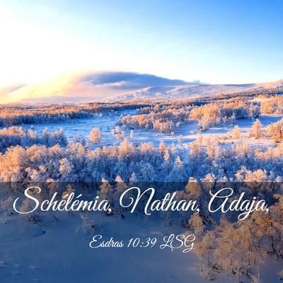 Picture 03 - Esdras 10:39 LSG - Schélémia, Nathan, - Bible Verse Picture