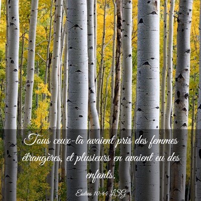 Picture 03 - Esdras 10:44 LSG - Tous ceux-là avaient pris des femmes - Bible Verse Picture