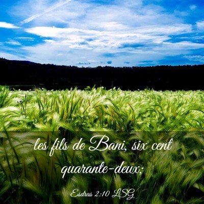 Picture 03 - Esdras 2:10 LSG - les fils de Bani, six cent - Bible Verse Picture